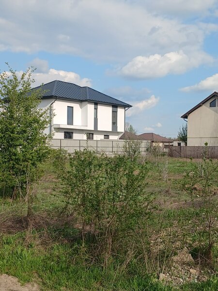Clinceni, Olteni, str. Mierlei, particular