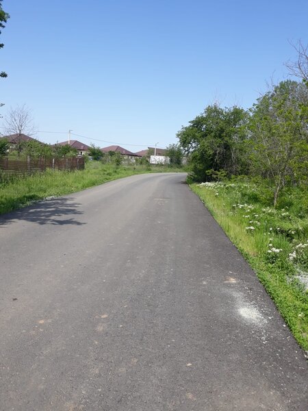 Clinceni, Olteni, str. Mierlei, particular