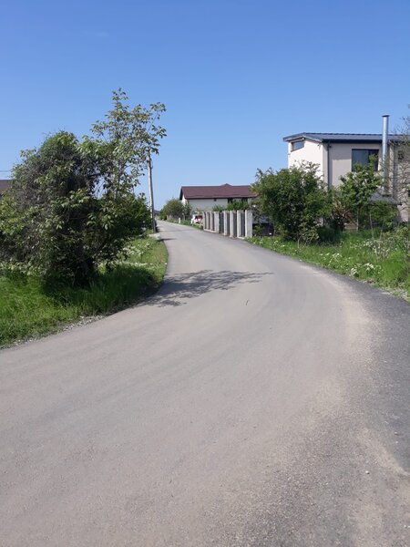 Clinceni, Olteni, str. Mierlei, particular