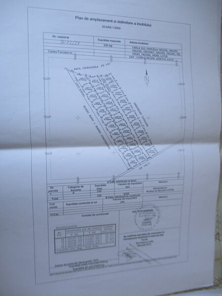 Clinceni, Olteni, str. Mierlei, particular